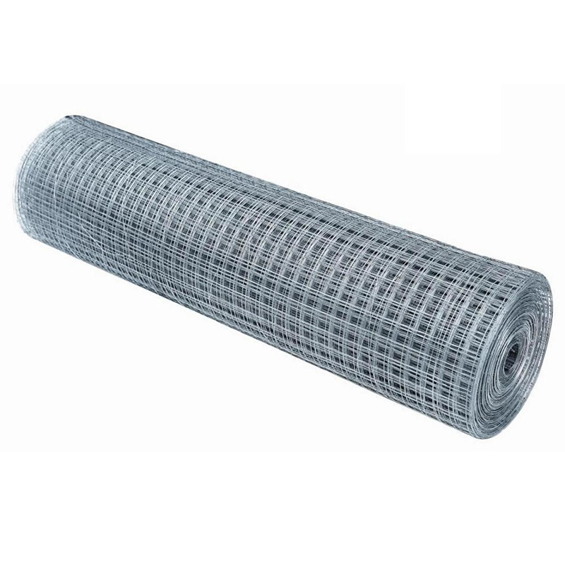 Galvanized Welded Wire Mesh